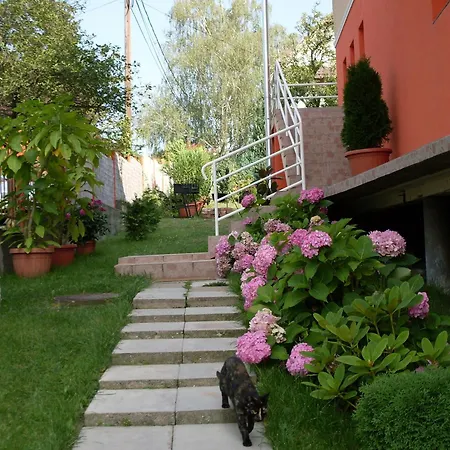 Guest house Eden Vendeghaz 3*